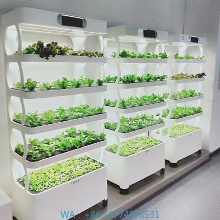 Diy Automation - Sistema de cultivo automatizado hidropônicoSistema de