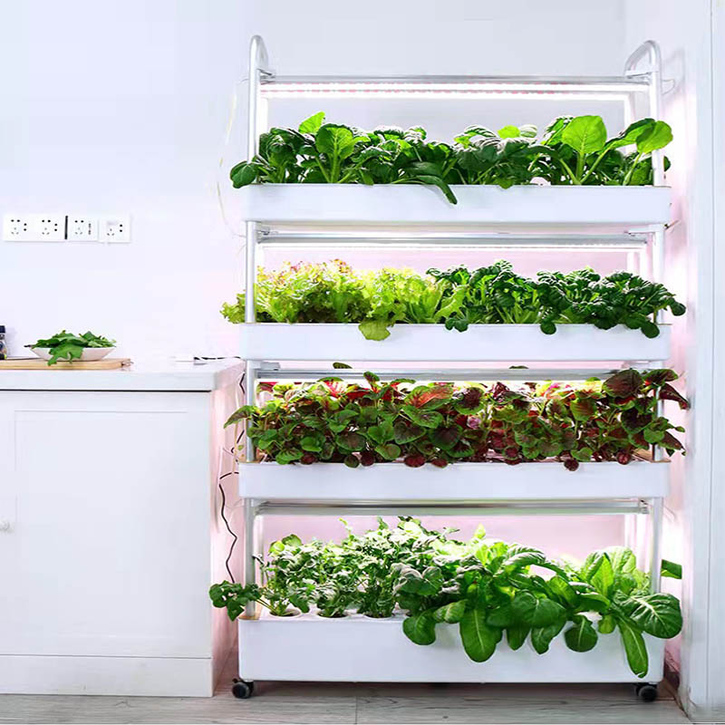 Sistema de plantio ydroponic S - Diy Home Automation System avaliação e preço